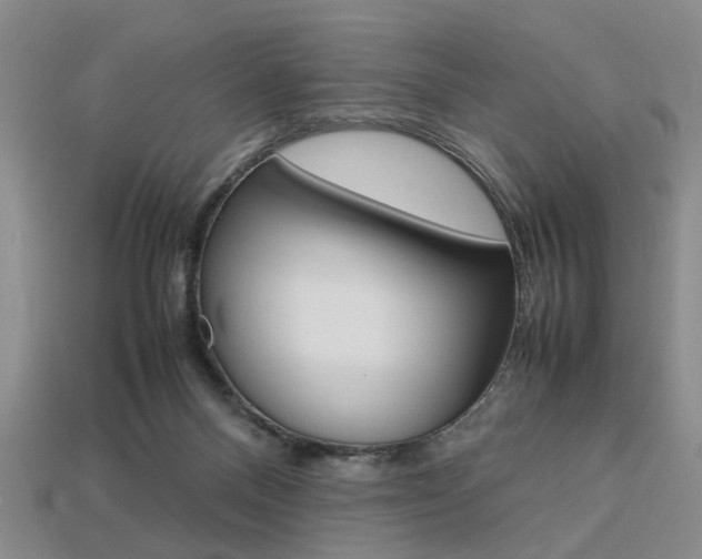 X0000113780120200909231049