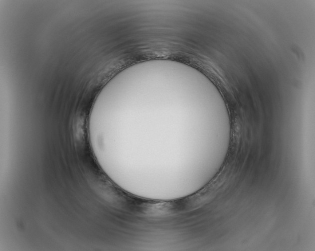 X0000113780122200909231049