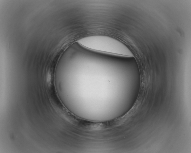 X0000113780124200909231049