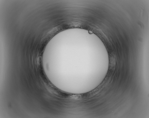 X0000113780126200909231049