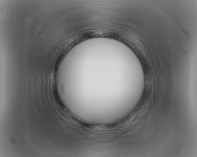 X0000113780127200909231049