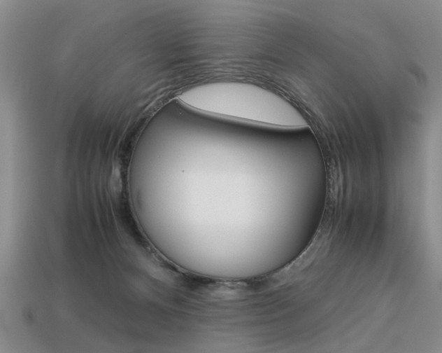 X0000113780128200909231049