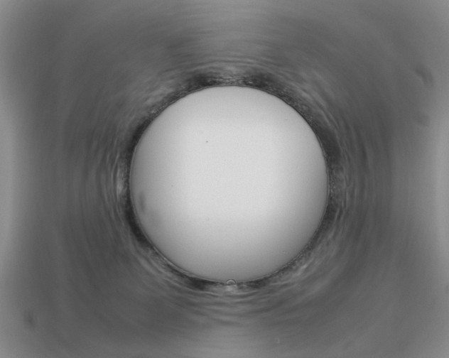 X0000113780131200909231049