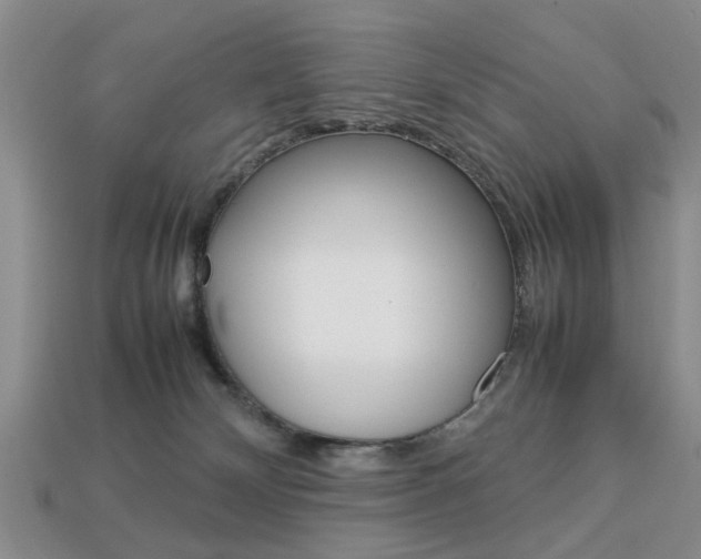 X0000113780132200909231049