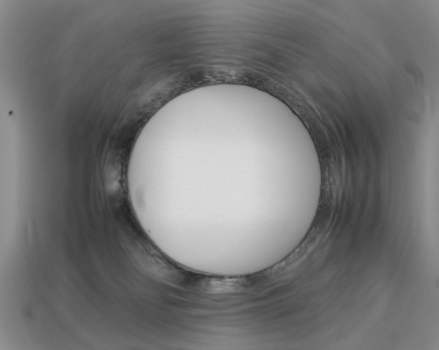 X0000113780134200909231049