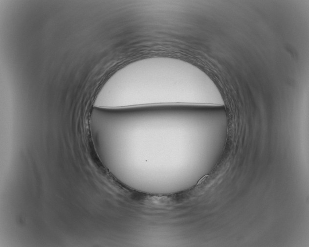 X0000113780137200909231049