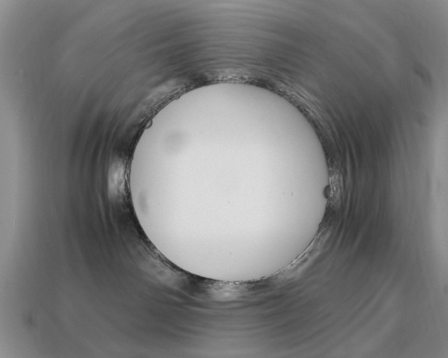 X0000113780142200909231049