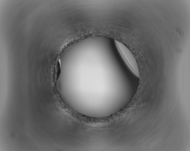 X0000113780144200909231049