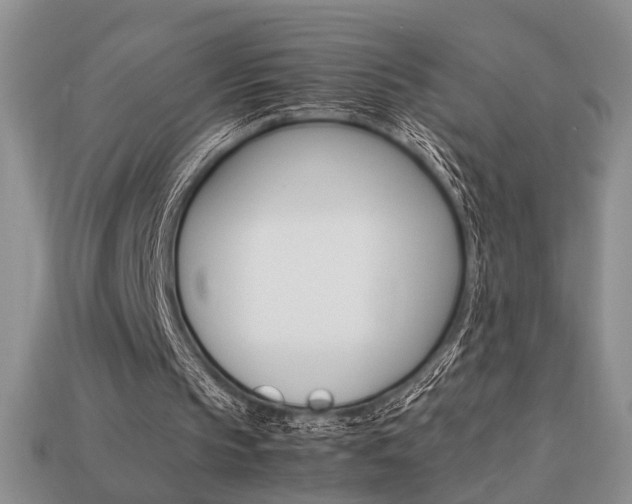 X0000113780145200909231048