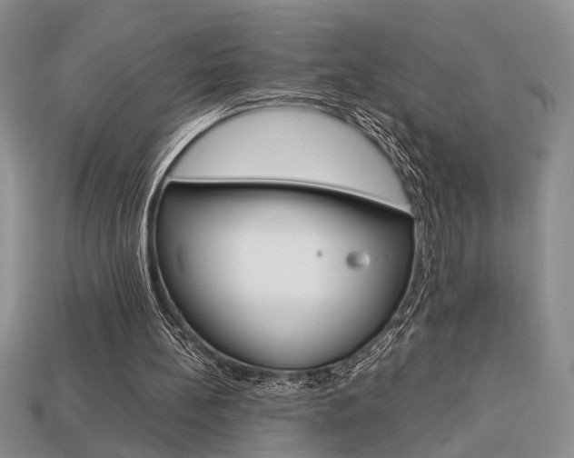 X0000113780148200909231048