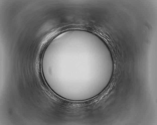 X0000113780149200909231048