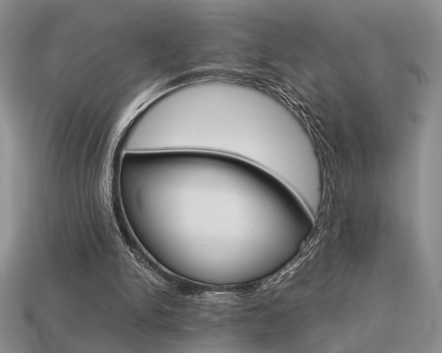 X0000113780150200909231048