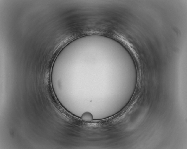 X0000113780153200909231048