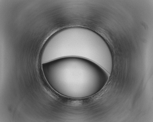X0000113780156200909231049