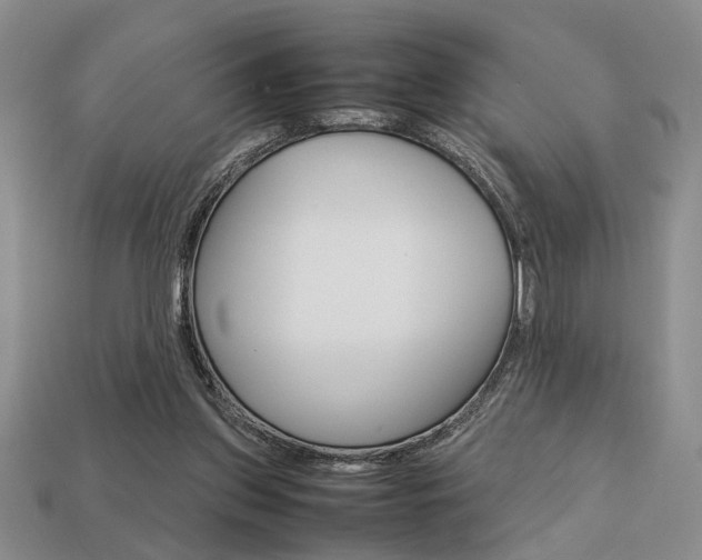 X0000113780157200909231049