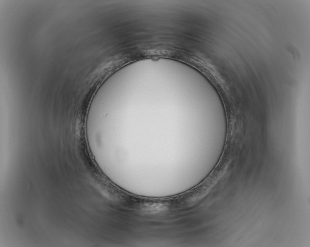 X0000113780161200909231049