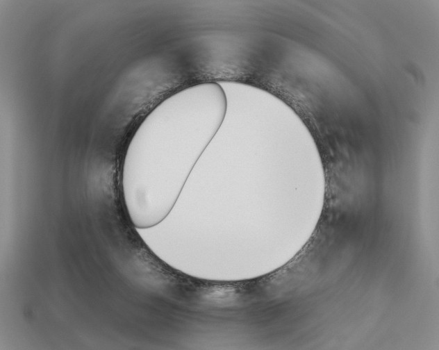 X0000113780162200909231049