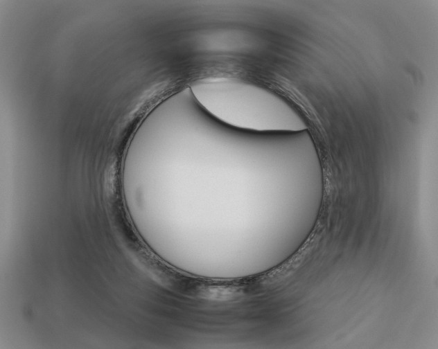 X0000113780163200909231049