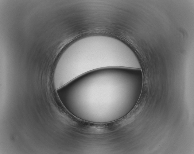 X0000113780164200909231049