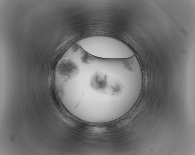 X0000113780165200909231049