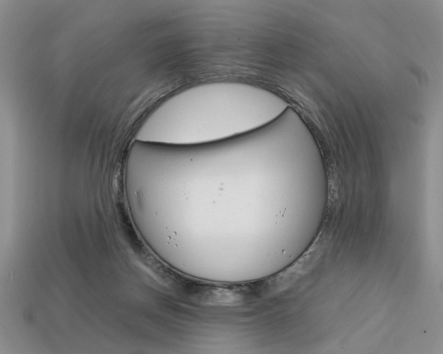 X0000113780166200909231049