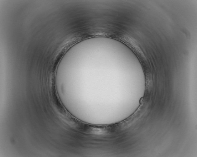 X0000113780167200909231049