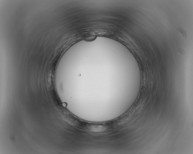 X0000113780169200909231049