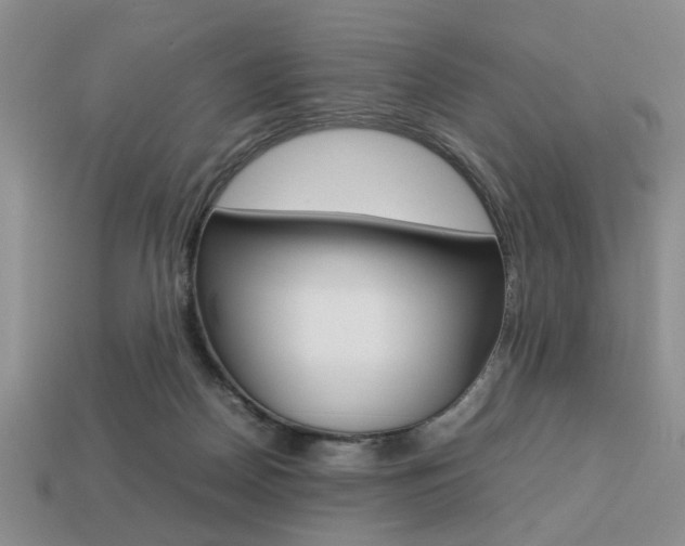 X0000113780170200909231049