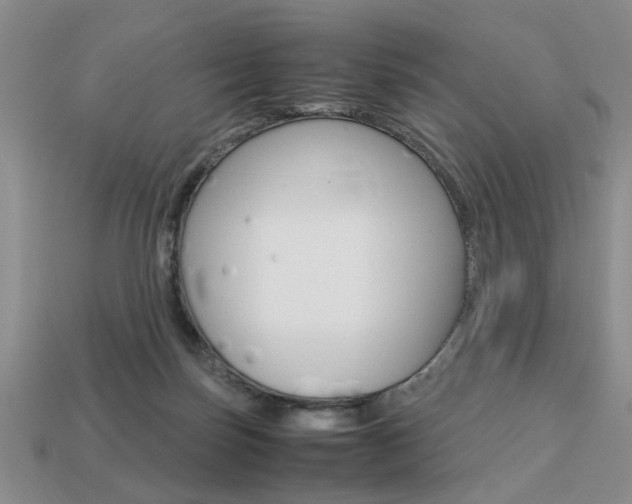 X0000113780171200909231049