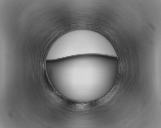 X0000113780172200909231049