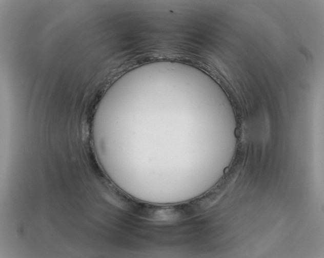 X0000113780173200909231049