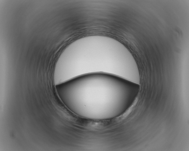 X0000113780174200909231049
