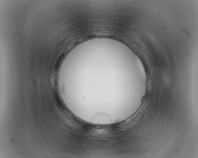 X0000113780175200909231049