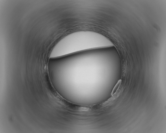 X0000113780176200909231049