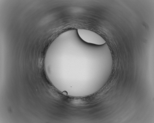 X0000113780177200909231049