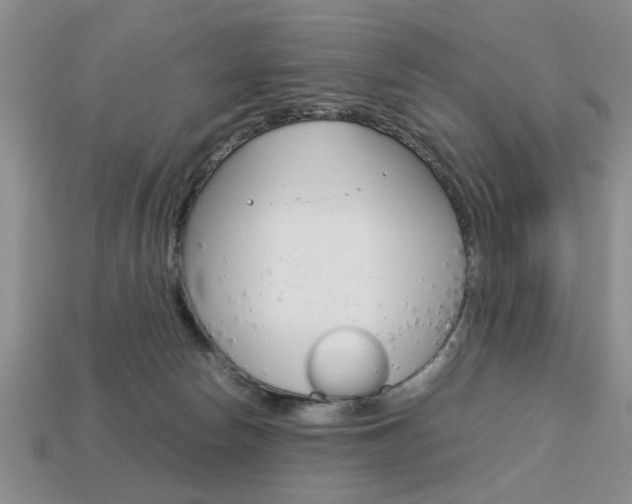 X0000113780178200909231049