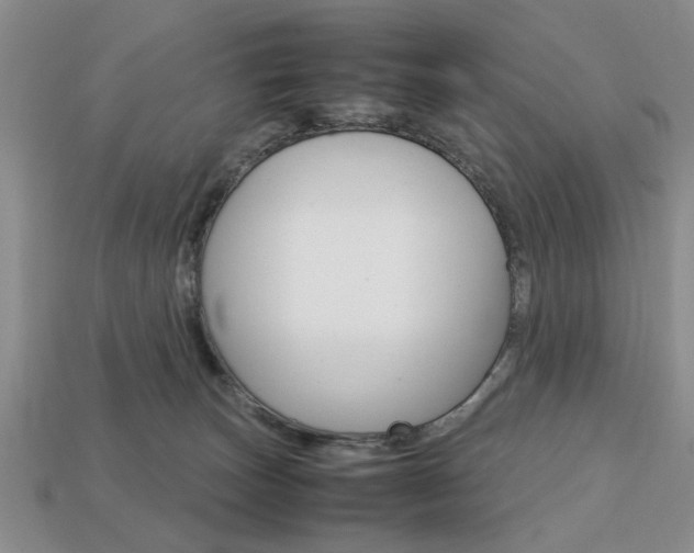 X0000113780179200909231049