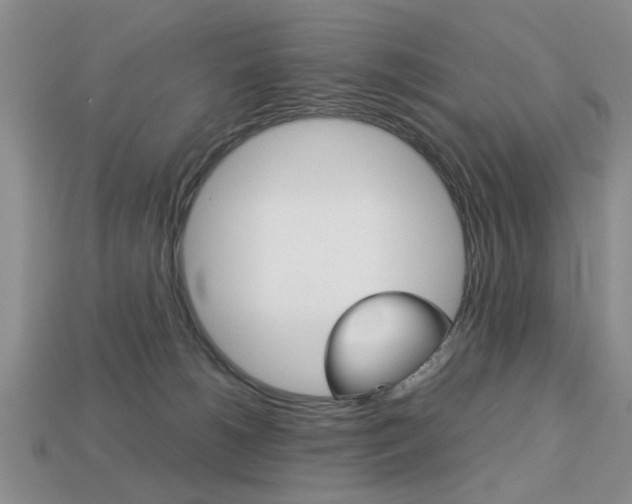 X0000113780180200909231049
