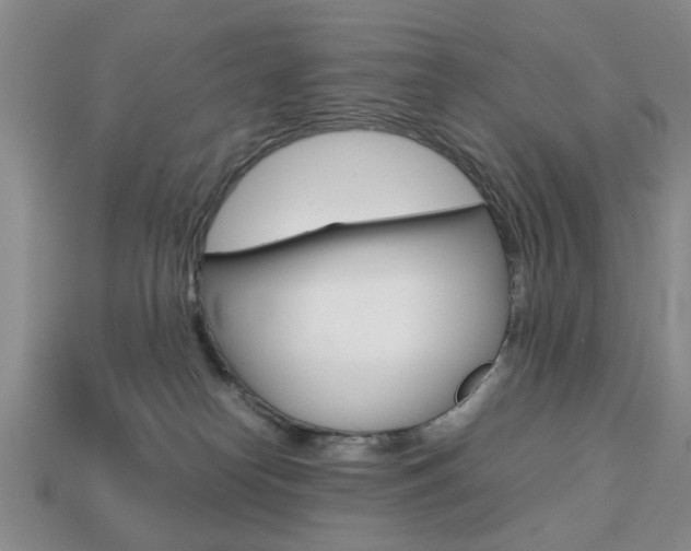 X0000113780182200909231049