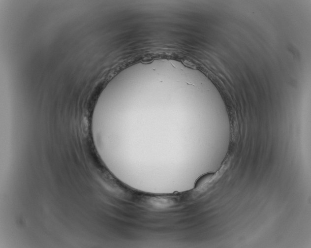 X0000113780183200909231049