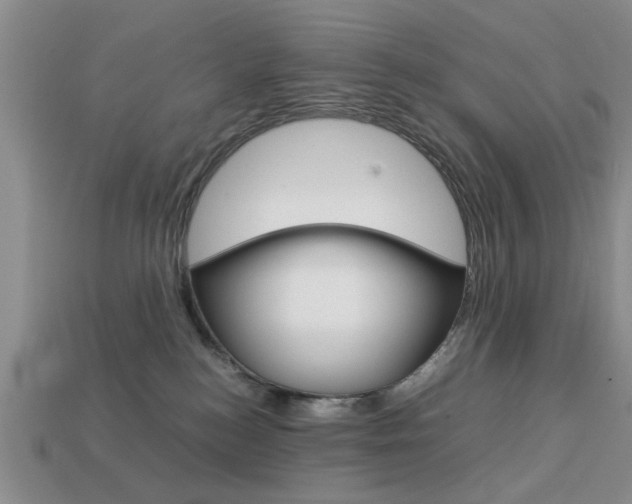 X0000113780184200909231049