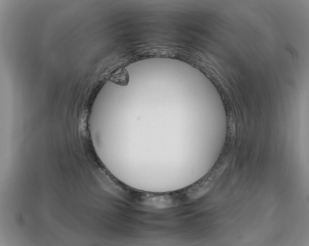 X0000113780185200909231049