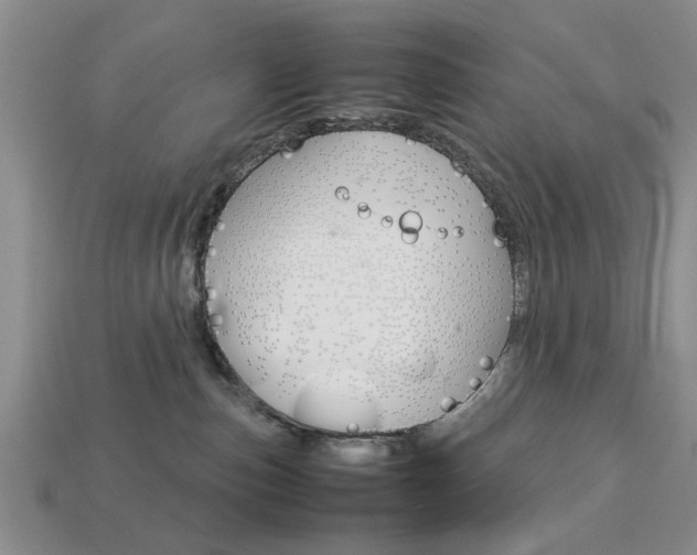 X0000113780187200909231049