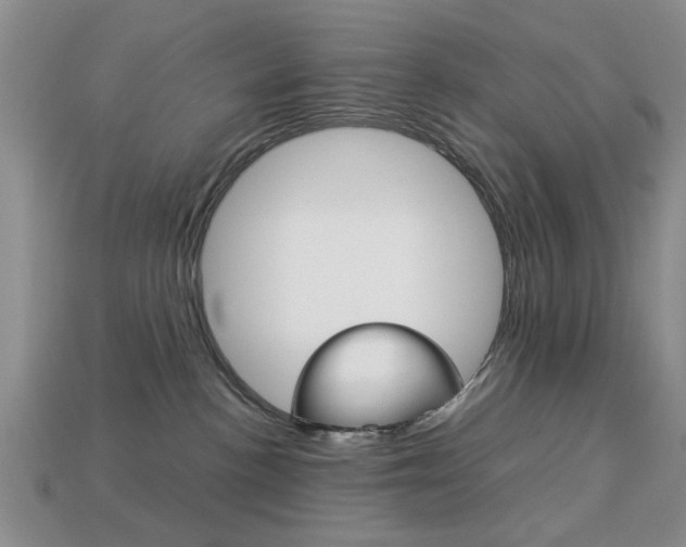 X0000113780188200909231049