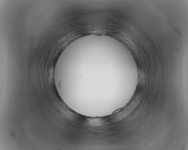 X0000113780189200909231049