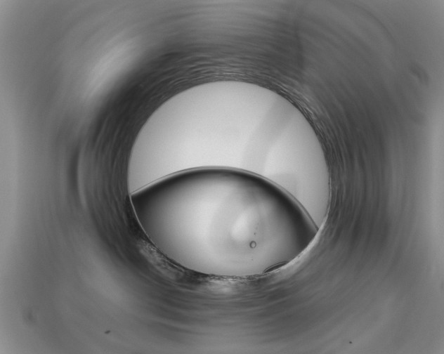 X0000113780190200909231049