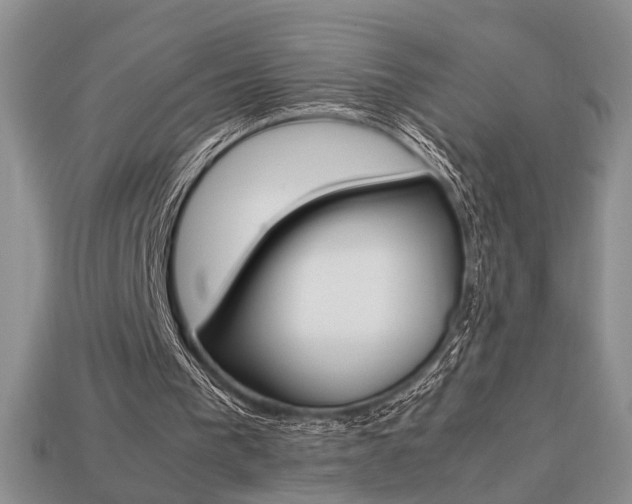 X0000113780193200909231048