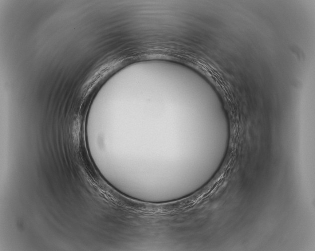 X0000113780194200909231048