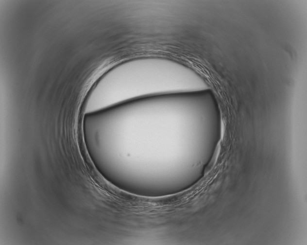 X0000113780195200909231048