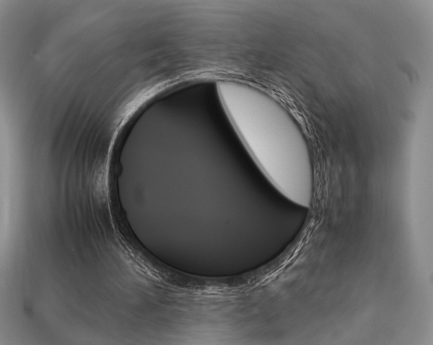 X0000113780196200909231048